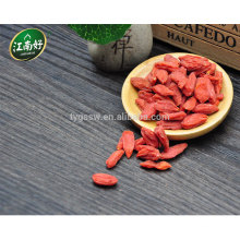 Hot selling goji berries with reasonable from Jiangnanhao